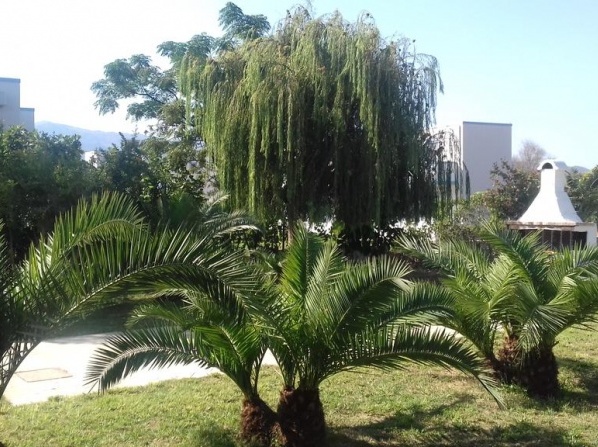 Hollywood Suites
